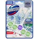 Toalettblock Domestos Power 5